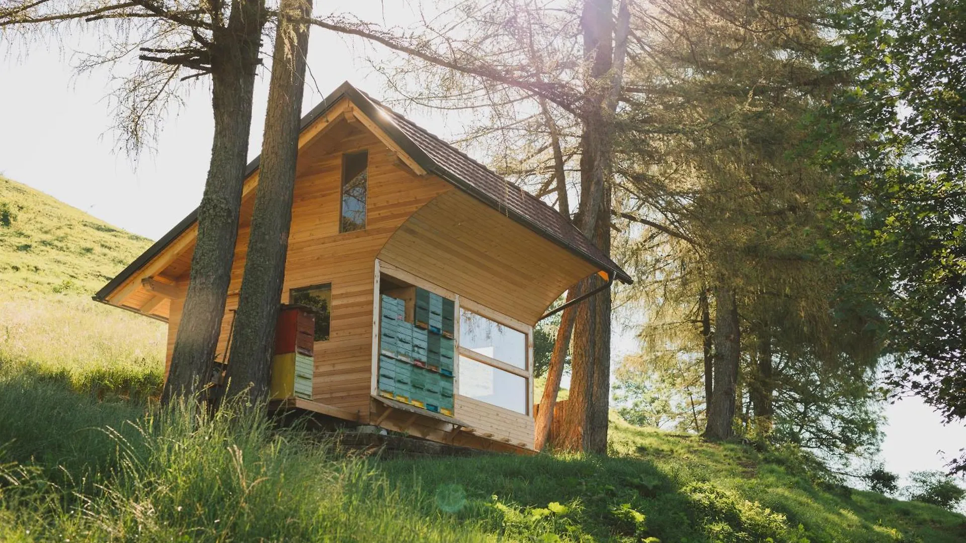 Tourist Farm Pr'Dovar Cerklje na Gorenjskem 3*,