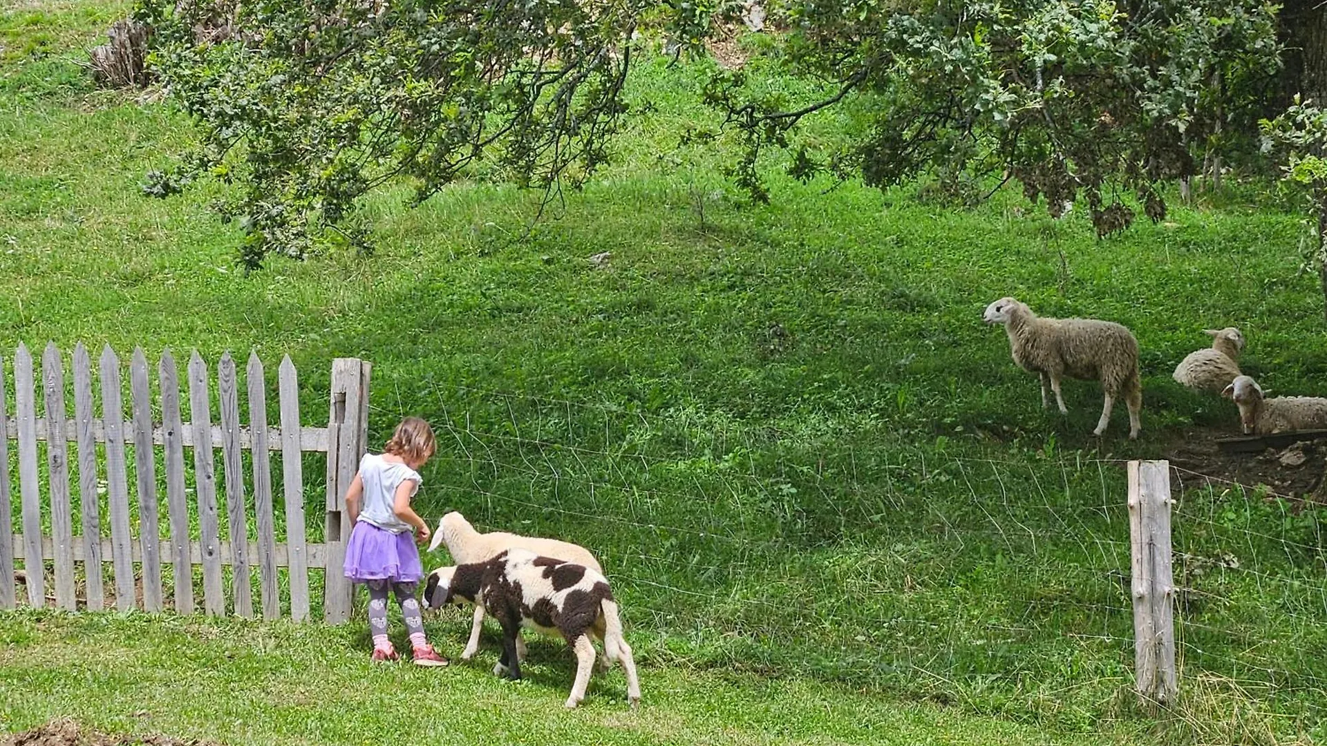 Tourist Farm Pr'Dovar Cerklje na Gorenjskem