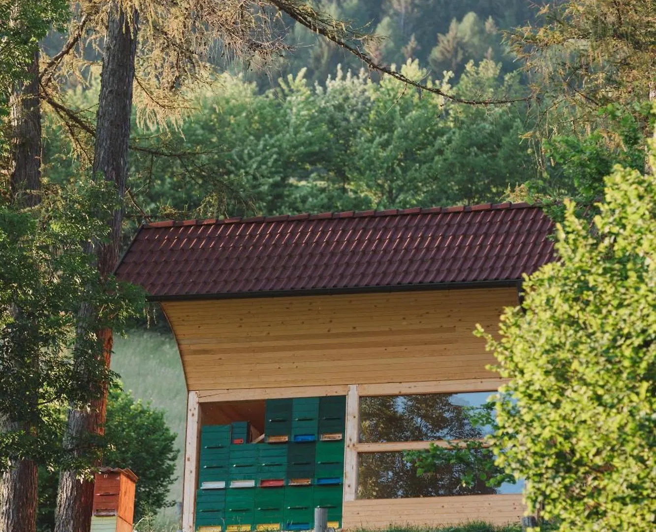 Tourist Farm Pr'Dovar Cerklje na Gorenjskem Nocleg ze śniadaniem